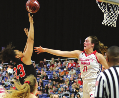 Shallowater Too Much for Schulenburg in State Semis